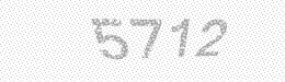 Visual security code — type the characters shown in the image